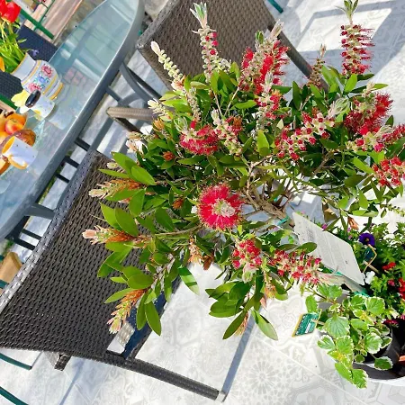 Landhof In Ganschendorf, Seenah