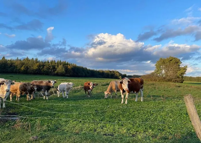 Hébergement de vacances Landhof In Ganschendorf, Seenah