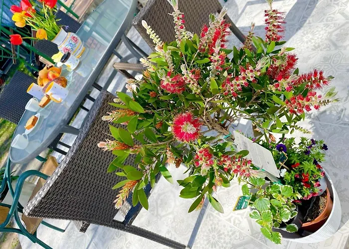 Landhof In Ganschendorf, Seenah